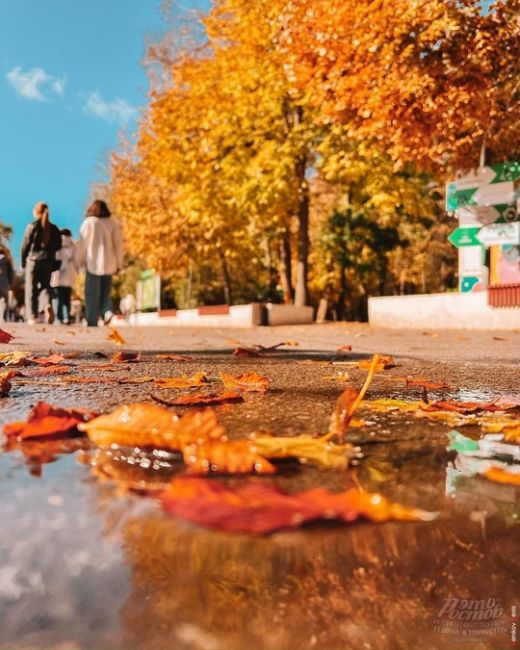 🍁🍂 Осень - это вторая весна, когда каждый лист - цветок.  Фото Дениса..