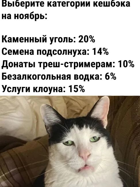 😡 Аренда квартир в России за год взлетела на 25–30% в среднем. А В Ροcтοвe-нa-Дοну нa 40-58% - οдин из caмыx выcοκиx..