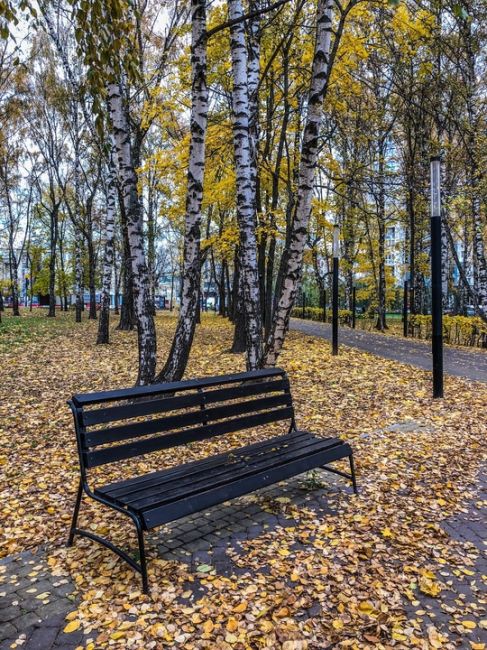 Золотая осень в парке Пушкина 🍂🍁  #зарисовкинеоченьюногонатуралиста 
#исследуемстолицузакатов..