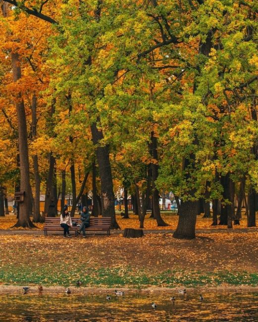 Осень в парке Гагарина..