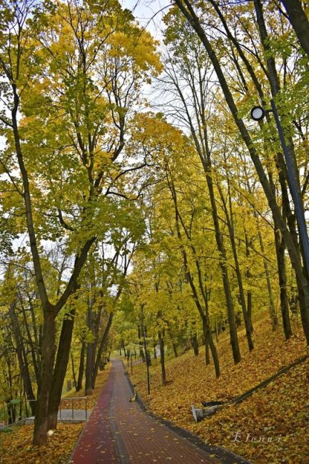 осень в Александровском..