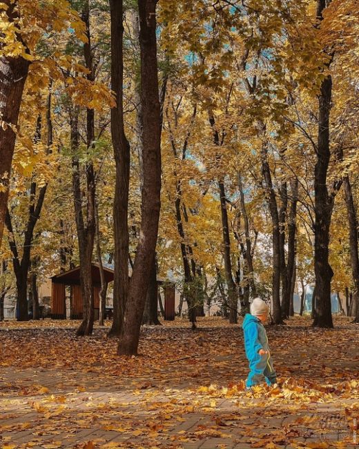 🍁🍂 Осень - это вторая весна, когда каждый лист - цветок.  Фото Дениса..