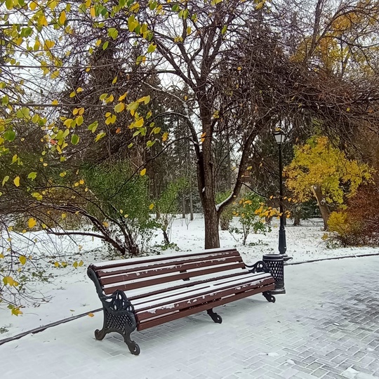 11 октября в Екатеринбурге стало самым холодным за 42 года 🥶  Среднесуточная температура в этот морозный..