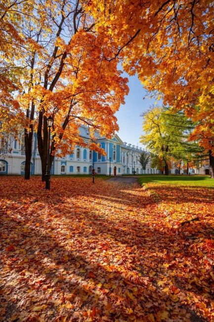 Смольный собор в огранке золотой..