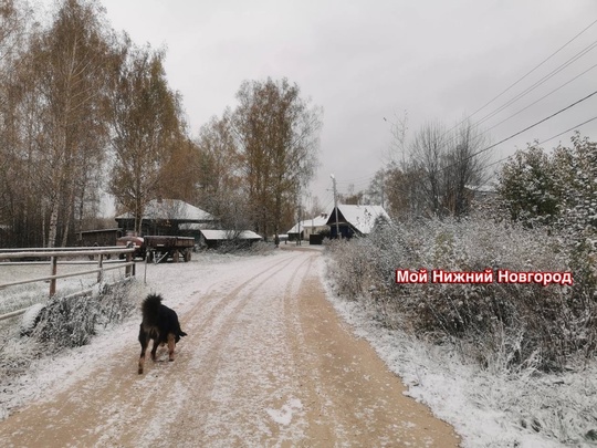 💙В Нижний Новгород пришел снег с дождем в компании с промозглым ветром  На дороги выехала спецтехника,..