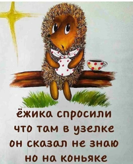 Это Ростов! Новости..