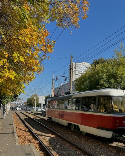 Милые, осенние Татры!
И не только…  Доброе, красивое утро 
выходного дня!
😉🚃🥰
Фото:..