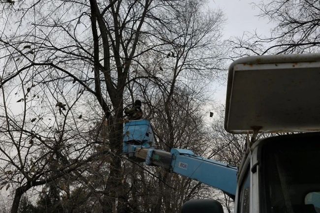 Кто празднику рад, тот…  В Первомайском сквере Новосибирска уже начали подготовку к празднованию Нового..