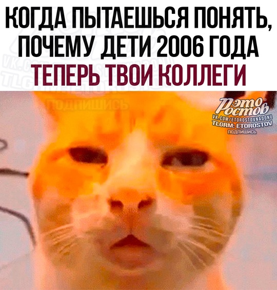 Это Ростов! Новости..