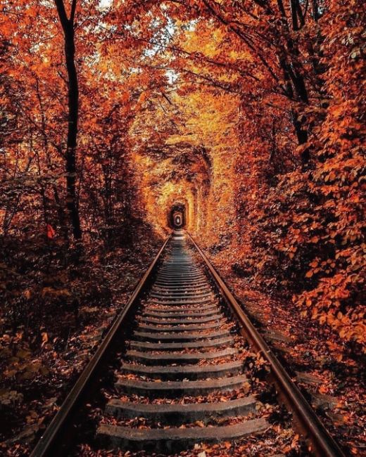 Нижний Новгород, парк "Швейцария". Прощальная улыбка октября💙  фото От Елены..