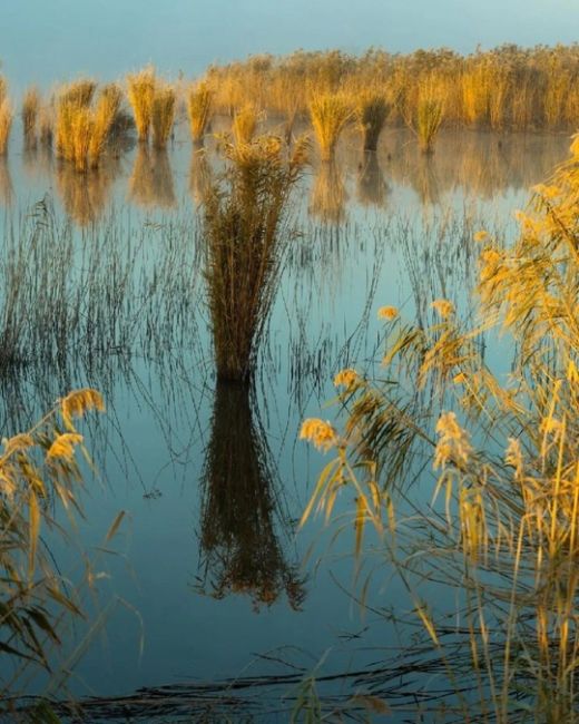 Утро у реки Сосыка 😍  Краснодарскиий край‌, станица Пластуновская, женский‌ Всецарицынскиий монастырь,..