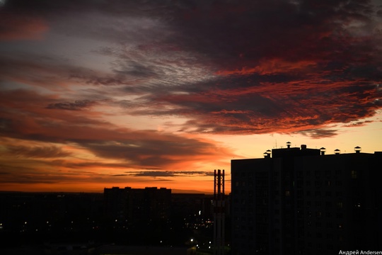 Доброй ночи 🖤  Фото: Андрей..