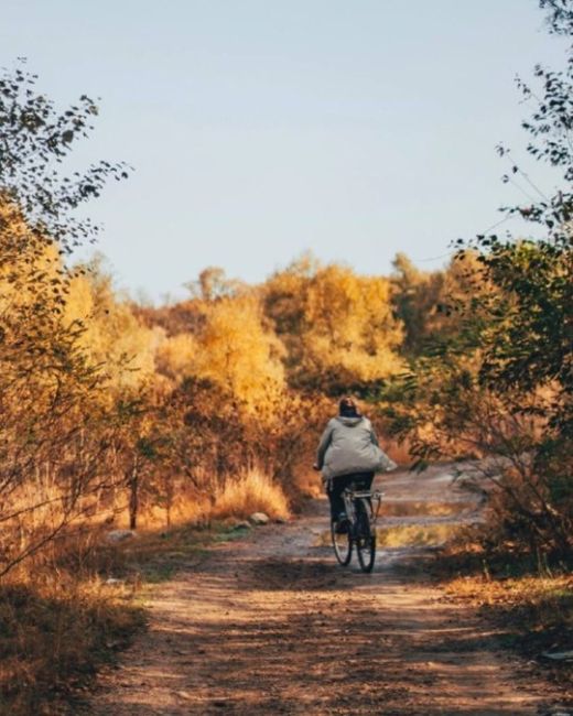 Октябрь на Кубани🍂🍁🍂  Фото:..