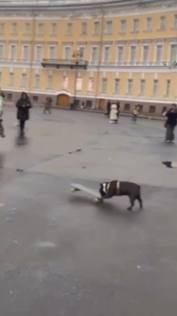 🛹 Скейтеру Бароше даже плохая погода не мешает заниматься свои любимым..