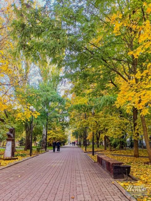 🍂🍁 Золотая осень на Пушкинской. Красиво же, согласитесь..