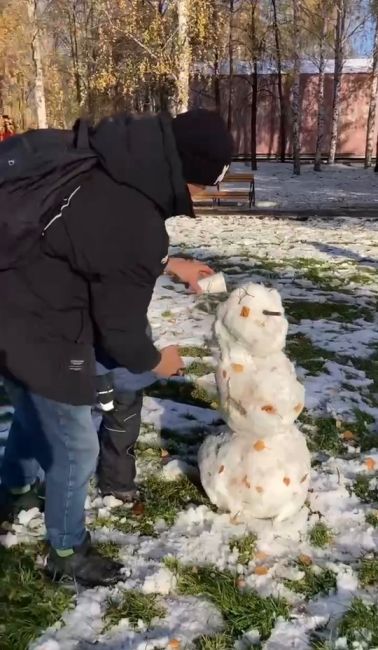 Нашествие снеговиков в парке..