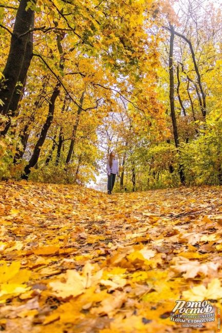 Осень — это вторая весна, когда каждый лист — цветок! 🍁  Фото: Денис..