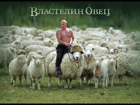 Сегодня у Владимира Путина День рождения!  По этому случаю решили вспомнить несколько интересных фактов из..