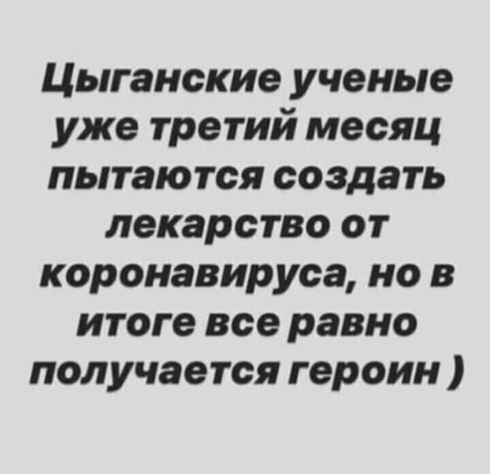 Полиция пришла к областным цыганам за уголовными делами и уклонистами  Петербургский главк показал словно..