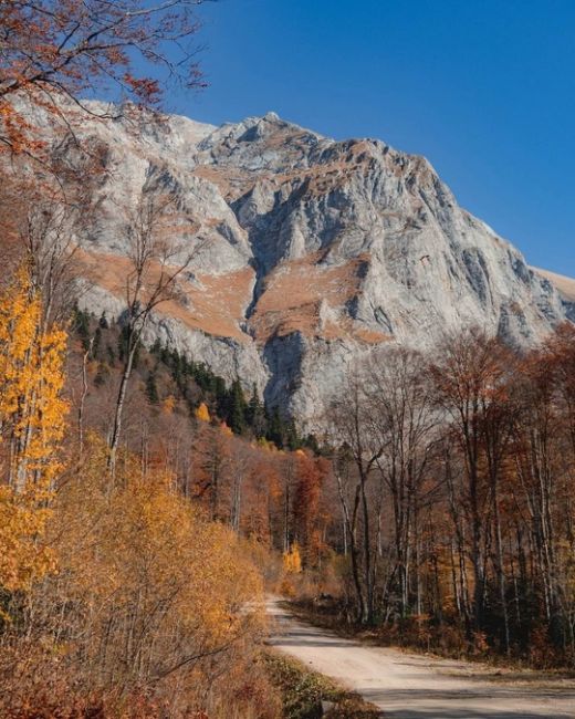 🍂🍁Самая красивая дорога Краснодарского края и Адыгеи  Просто садитесь в машину, вбивайте в навигатор..