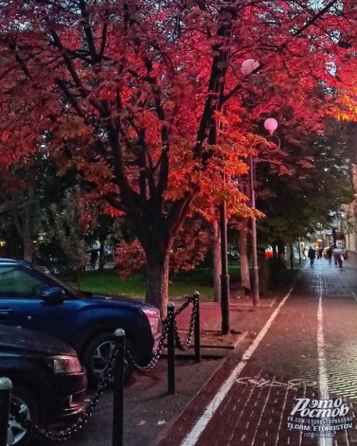 ☔️ Ростов мокрый, но очень..