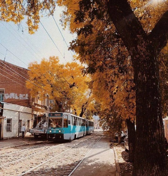 🍂 В Краснодарском крае температура поднимется до +19 градусов.  Дожди отступят, и температура начнет..