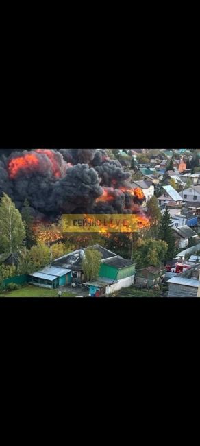 Ежегодное издeвaтельствo над краснодарцами 💨  Фото..