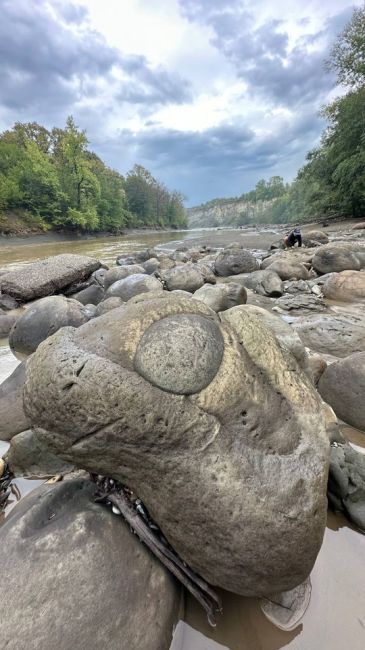 Пишет krd_exp:  «🐚 Долина аммонитов в Адыгее. Воды уже много, лучше ездить в..