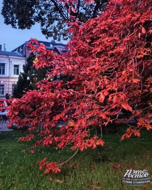 ☔️ Ростов мокрый, но очень..