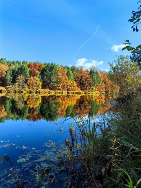 Доброе утро💛Осень в Семеновских краях 
Краски реки Керженец  фото: От Татьяны..