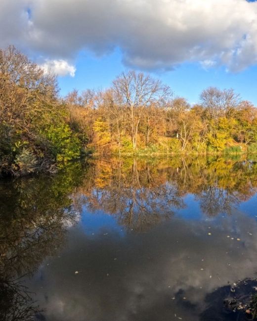 🍁 Золотая осень в парке Мухина балка в Аксае. 
фото: Роман..