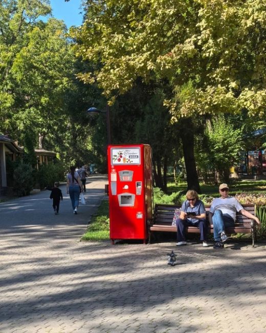 Первые выходные октября в Чистяковской роще ☀️🐿️  Фото..