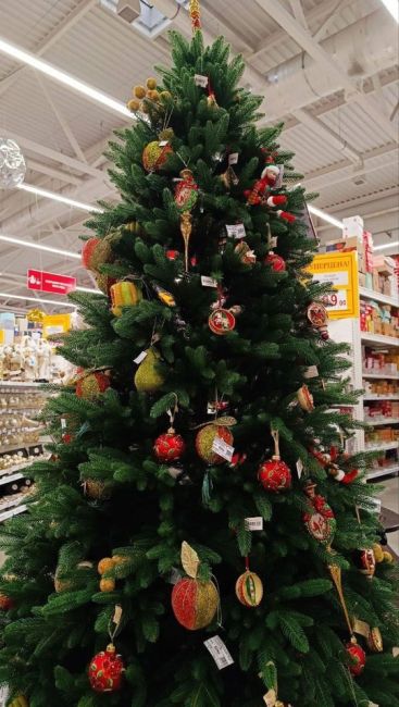 🎄 В магазинах Ростова появились новогодние украшения. А вы уже начали готовиться к Новому 2025 году?  Фото:..