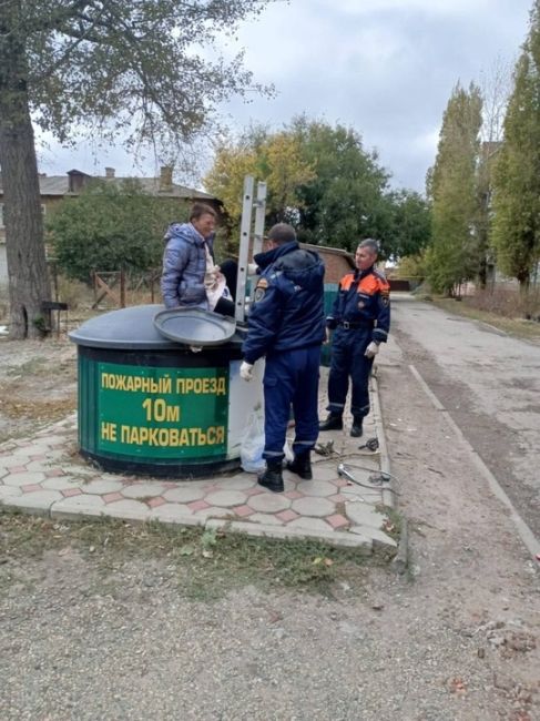 В Ростовской области спасатели помогли женщине выбраться из мусорного контейнера.  В Сальске на улице..