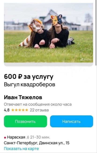 🐕В Питере начали предоставлять услугу по выгулу..