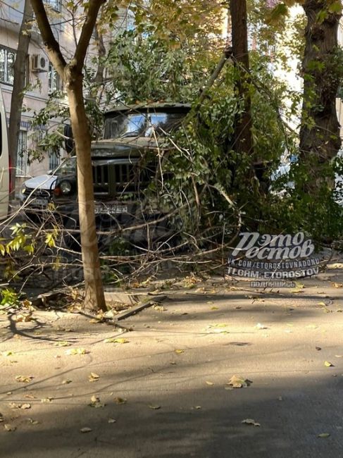 🌳 Часть дерева рухнула на грузовик на Халтуринском, 72. Его уже..