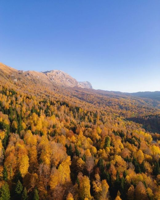 🍂🍁Самая красивая дорога Краснодарского края и Адыгеи  Просто садитесь в машину, вбивайте в навигатор..