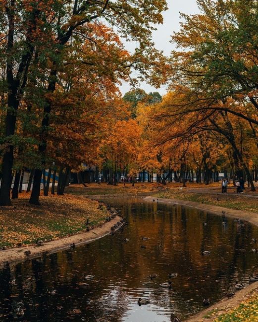 Осень в парке Гагарина..