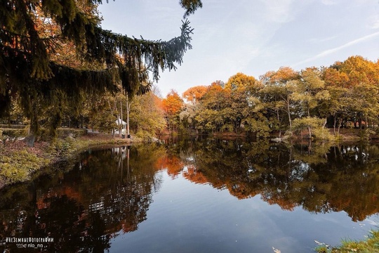 Прекрасная Болдинская осень 🍁  📸 Никита..