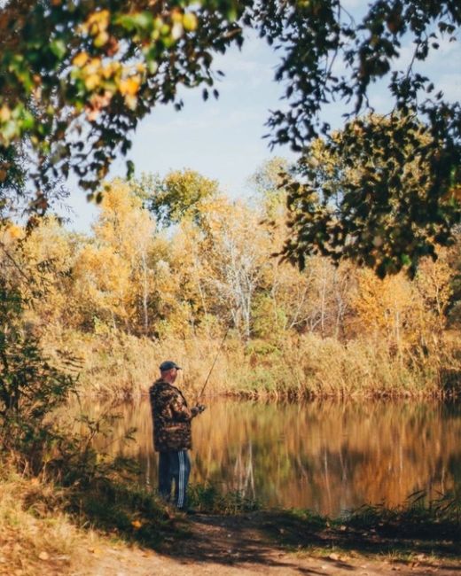 Октябрь на Кубани🍂🍁🍂  Фото:..