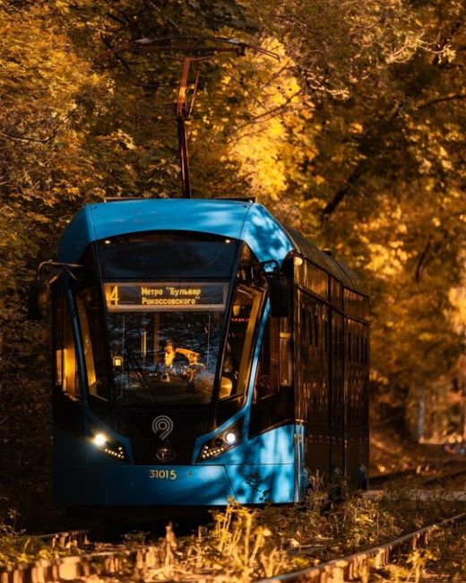 Осенние трамвайчики в Сокольниках.  Фото:..