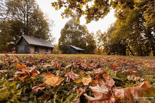 Прекрасная Болдинская осень 🍁  📸 Никита..