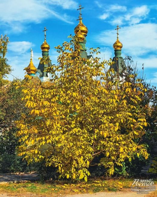 🍁😍 Золотая осень на Западном  Фото: Aлексей..