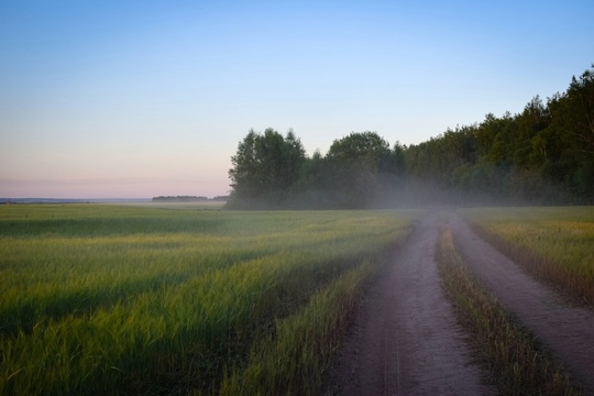 Вадский район, село Гари💙  фотомОт Сергея..