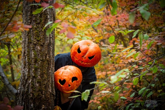 🎃 Хэллоуин (Тыквенный спас) в Кумженской..