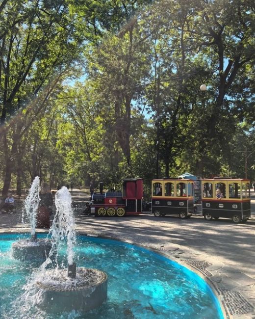 Первые выходные октября в Чистяковской роще ☀️🐿️  Фото..