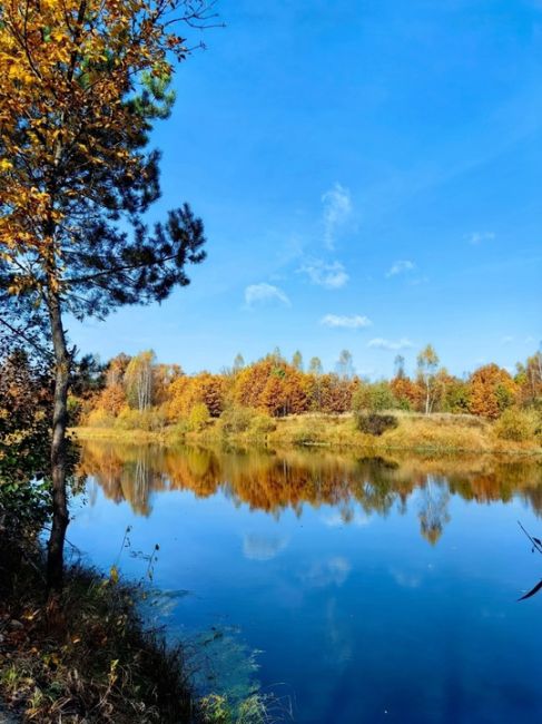 Доброе утро💛Осень в Семеновских краях 
Краски реки Керженец  фото: От Татьяны..