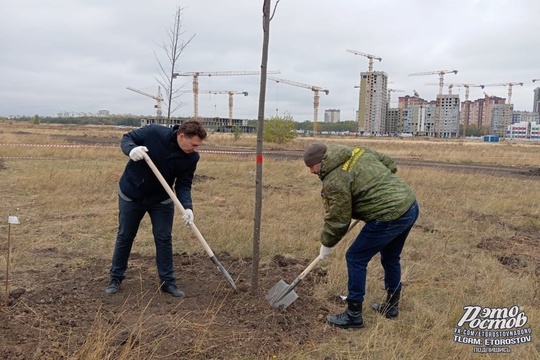 🌳 Новый парк заложили на территории бывшего ростовского аэропорта. Уже через несколько лет здесь будет..