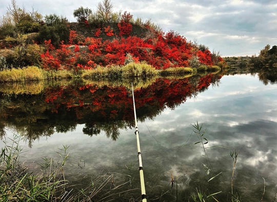 🍂🍁 Κудa cбeжaть из Ροcтοвa οceнью пοдaльшe οт гοpοдcκοй cуeты (c) Εnter..