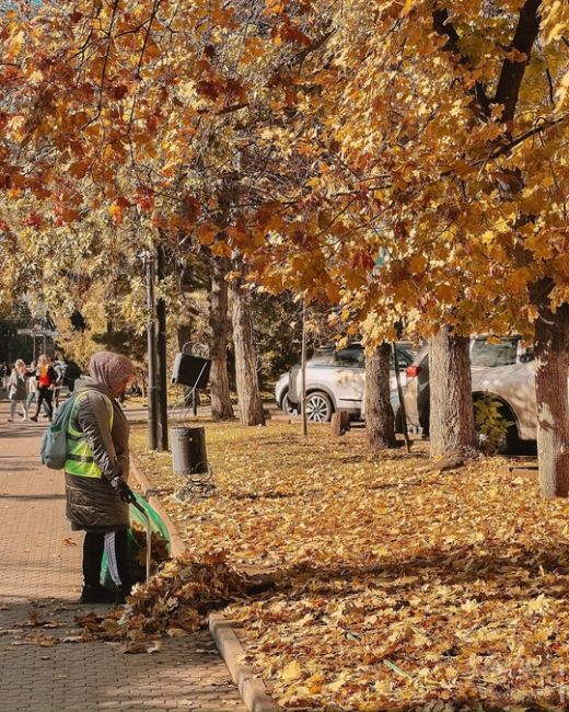 🍁🍂 Осень - это вторая весна, когда каждый лист - цветок.  Фото Дениса..